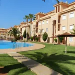 Palm