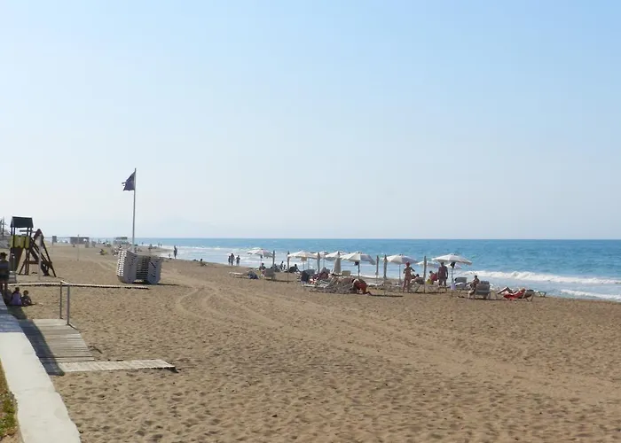 Palm * Dénia